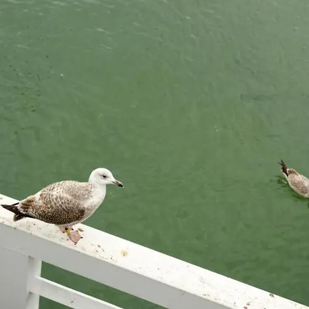 Bed and Breakfast Albatros Happy 3*